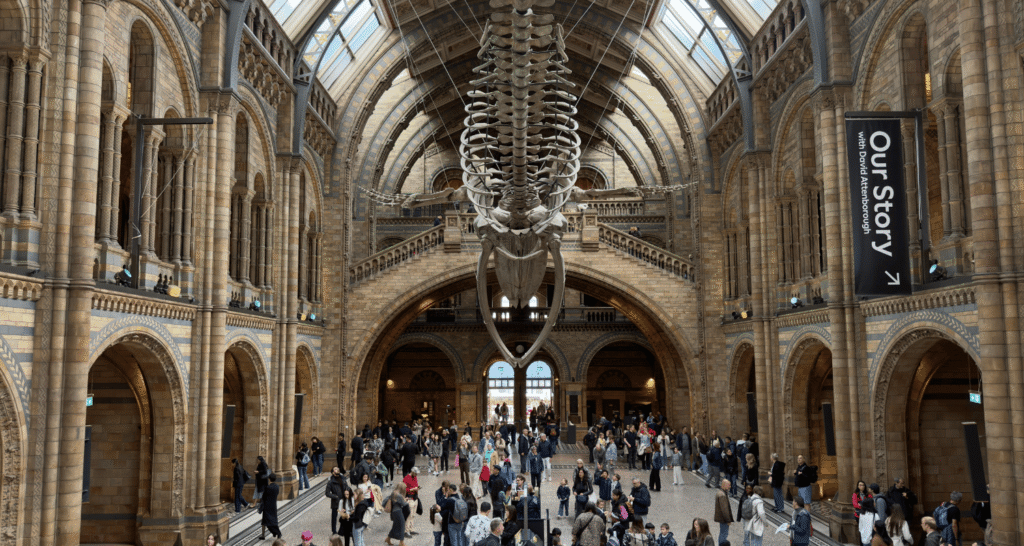 The Best Museums in London: Which Ones are Worth Visiting?